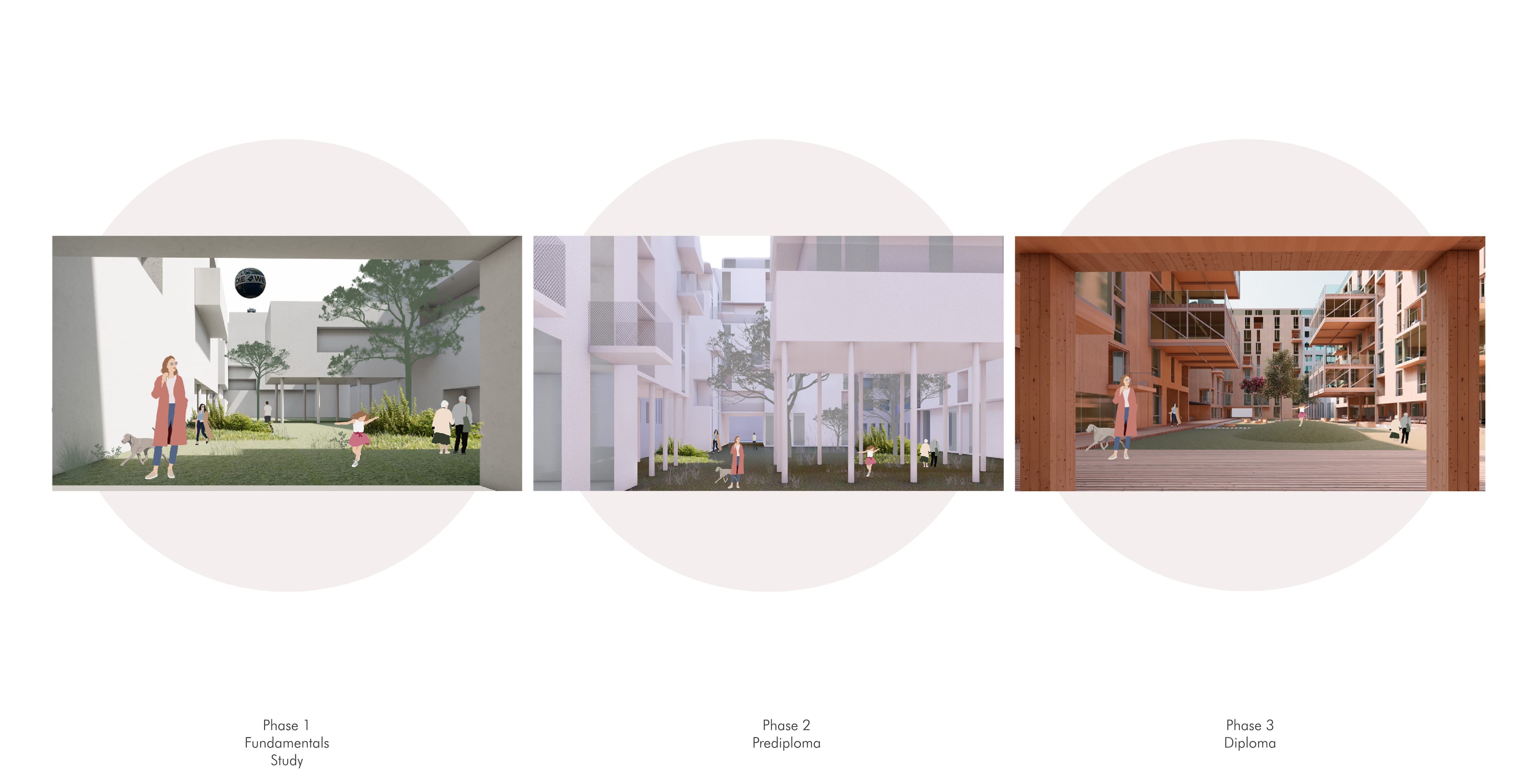 Three interior studies, each set on a pale blush circle and labelled Phase 1 Fundamentals Study, Phase 2 Regulations and Phase 3 Options.